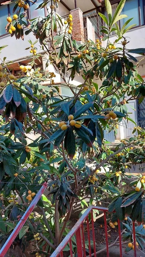 Holiday home Casa Vacanze Il Nespolo Catania